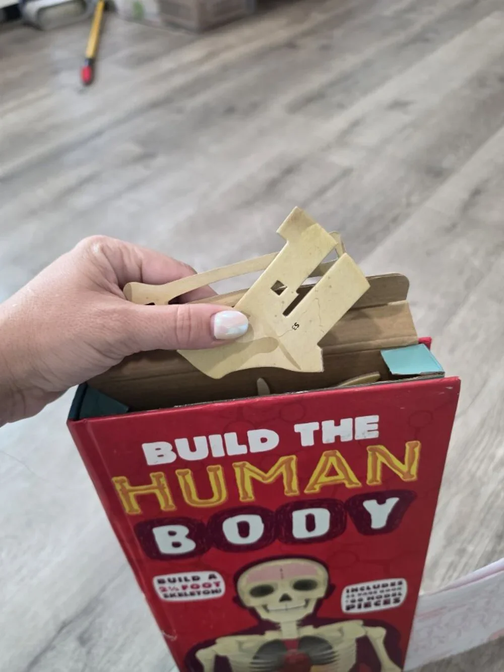 Build The Human Body Interactive Model Book With 66 Pieces & 32-Page Guide